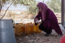 Cooperazione in Palestina, uso delle acque reflue e implicazioni socioculturali