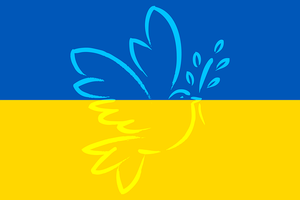 Ucraina, approvato il finanziamento ad altri sette progetti